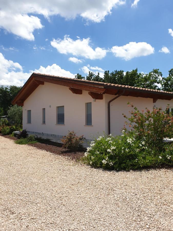 Il Rifugio Del Tempo Bed & Breakfast Roccasecca Ngoại thất bức ảnh